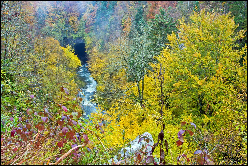 Parco del Rakov Skocjan-Slovenia